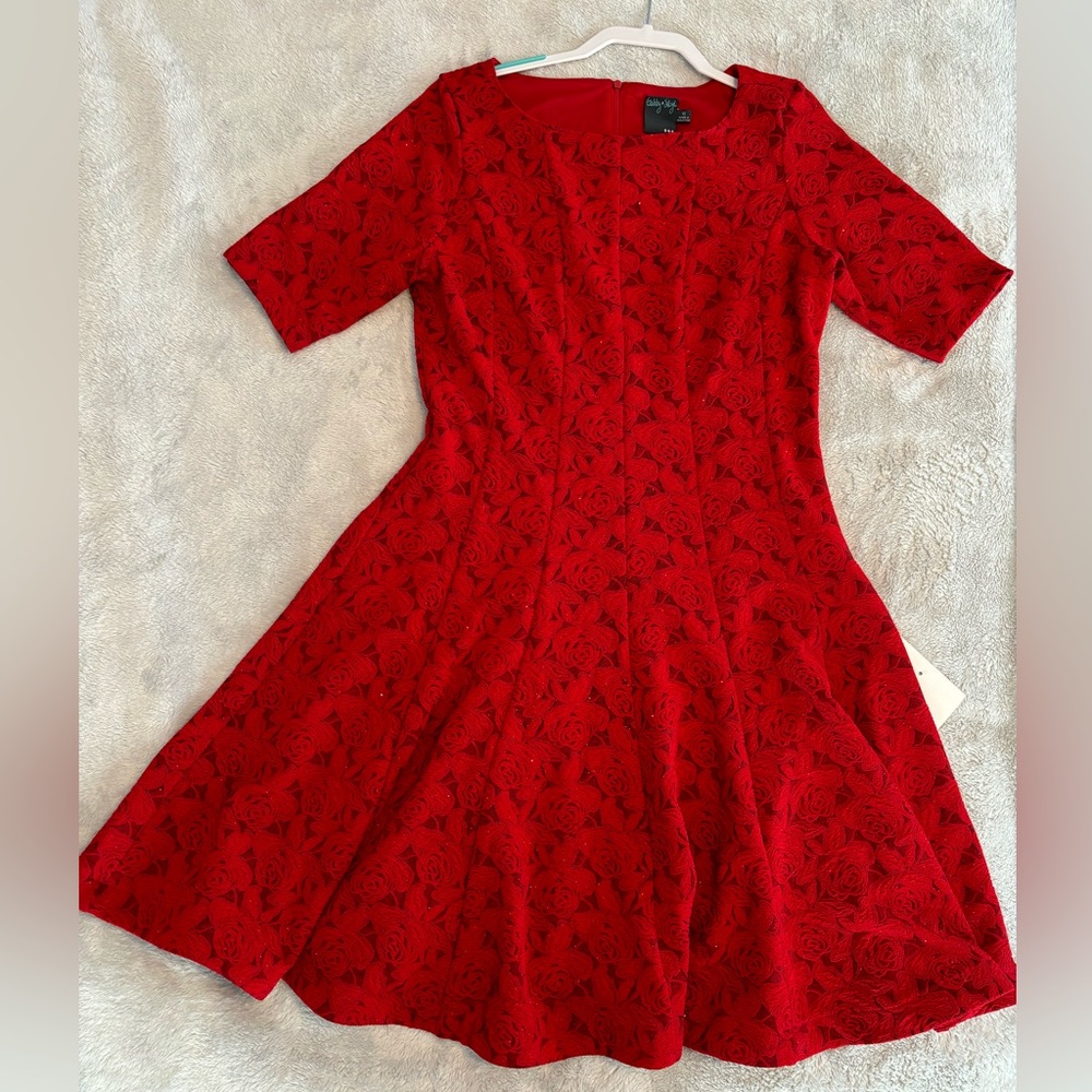 Gabby Skye NWT Dress size 10